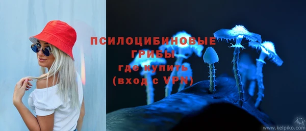спиды Кодинск