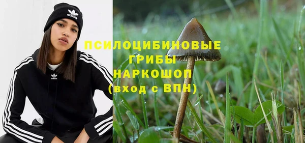 стаф Абдулино